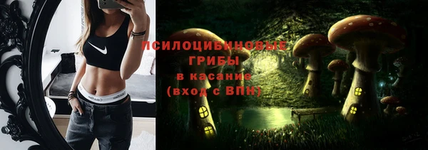 spice Алзамай