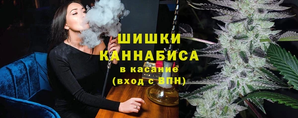 spice Алзамай